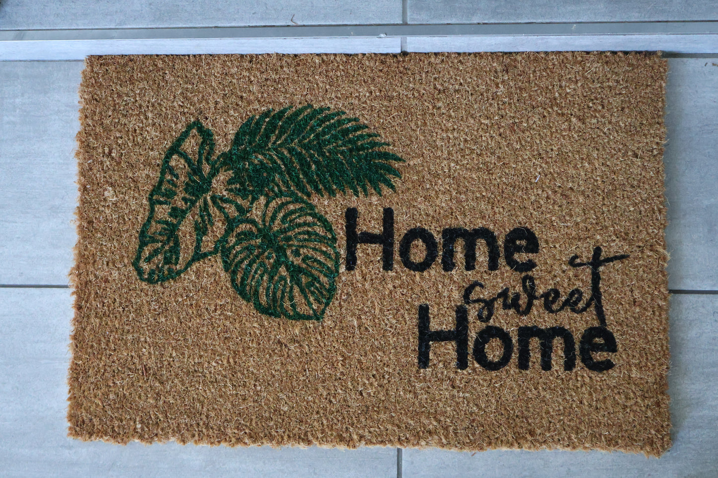 Home Sweet Home (3 plants)
