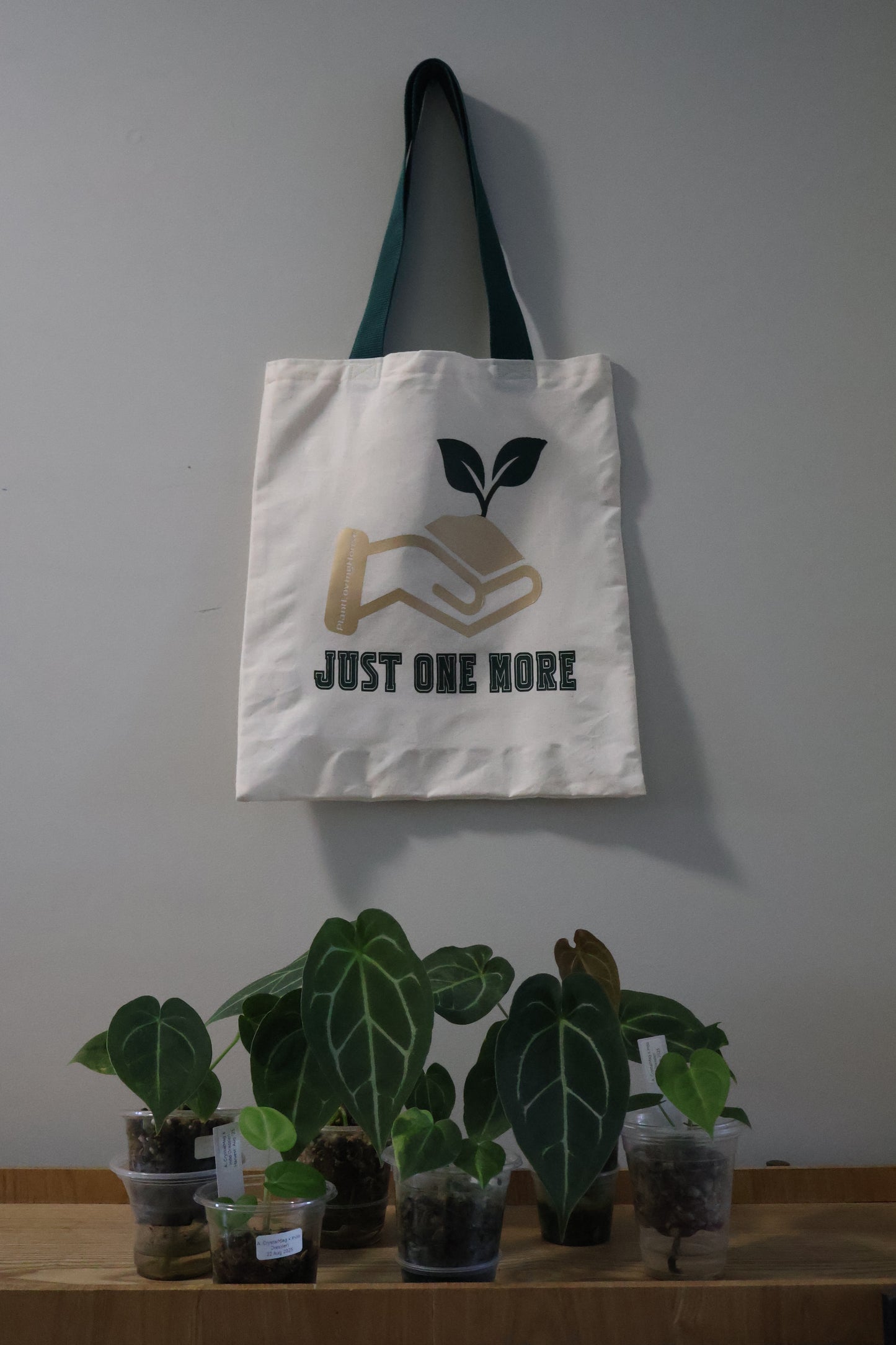 Just One More Tote