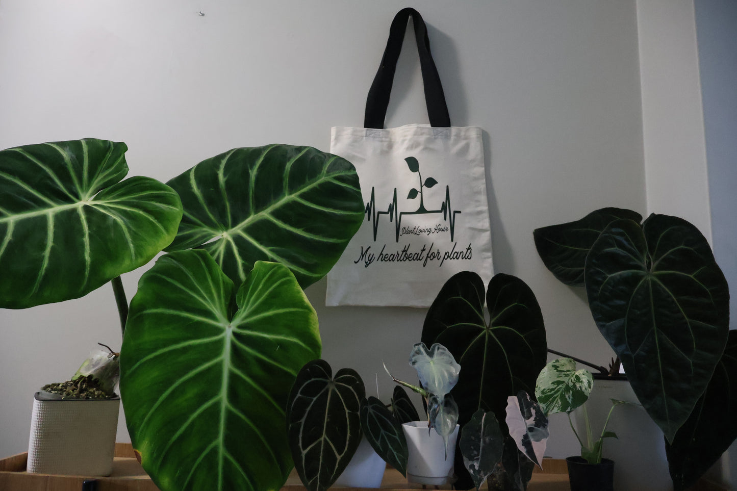 My Heart Beats For Plants Tote
