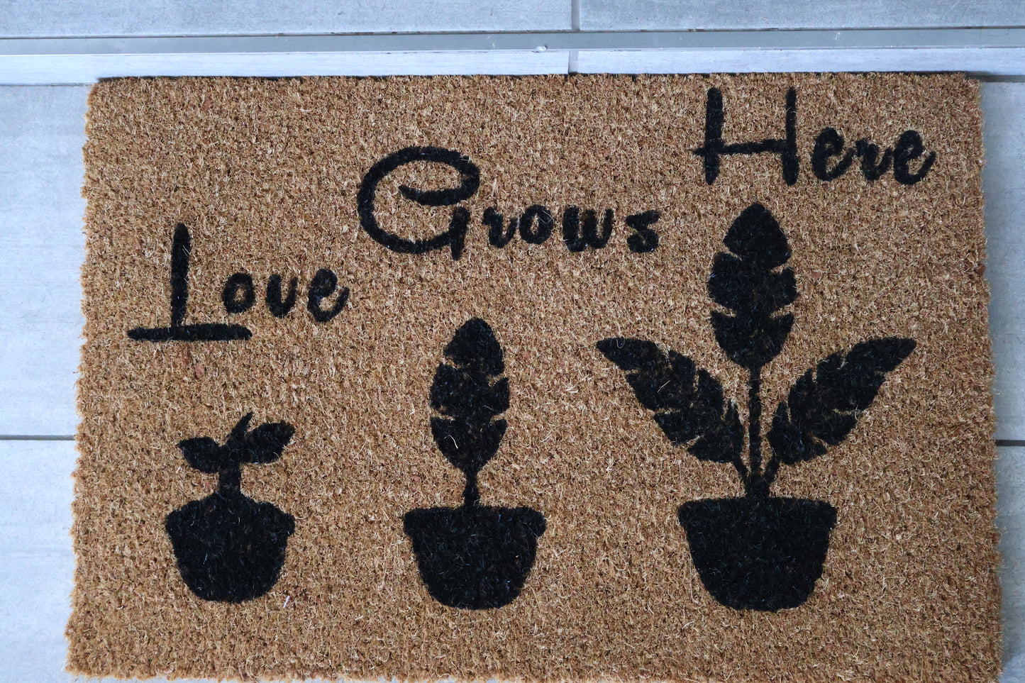 Love grows here (Plants)