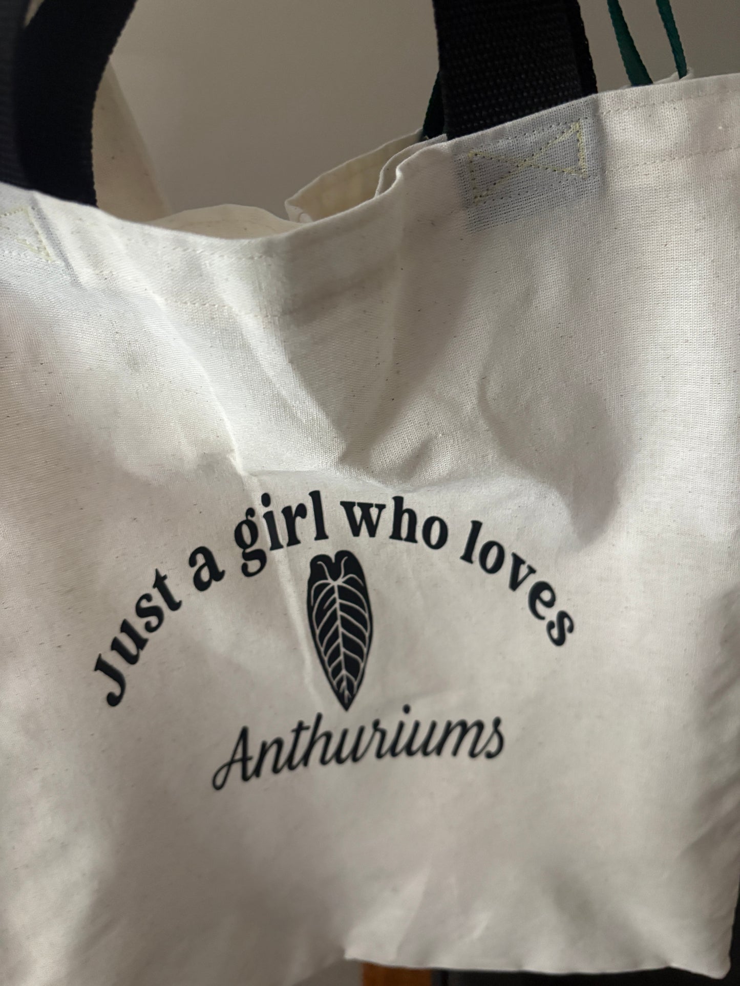 Just a Girl who loves Anthurium